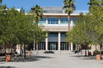 weather and pests in gilbert