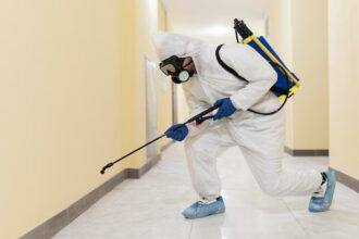 pest control in gilbert