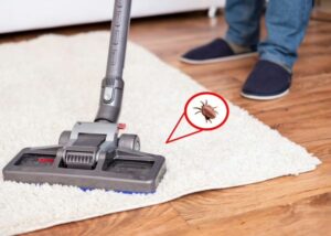 Effective Pest Control Surprise