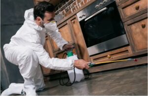 Pest Infestations in surprise